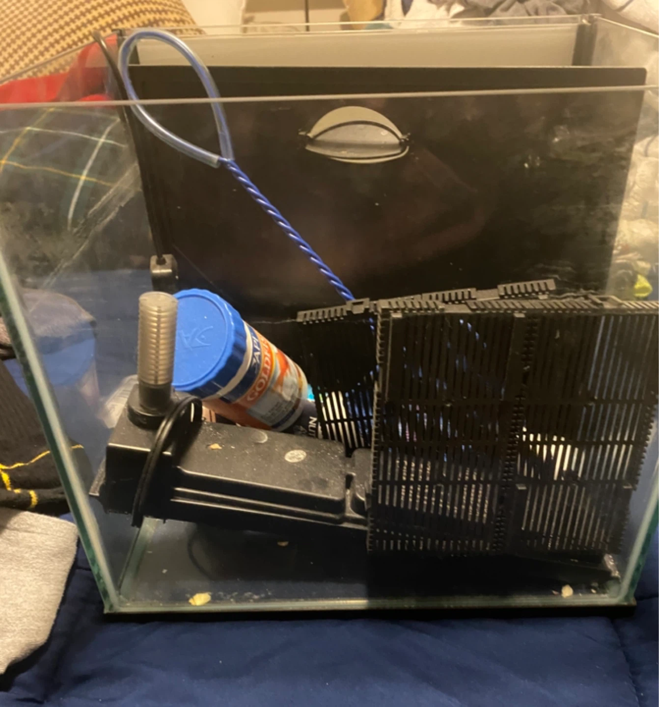 10 gal (?) fish tank