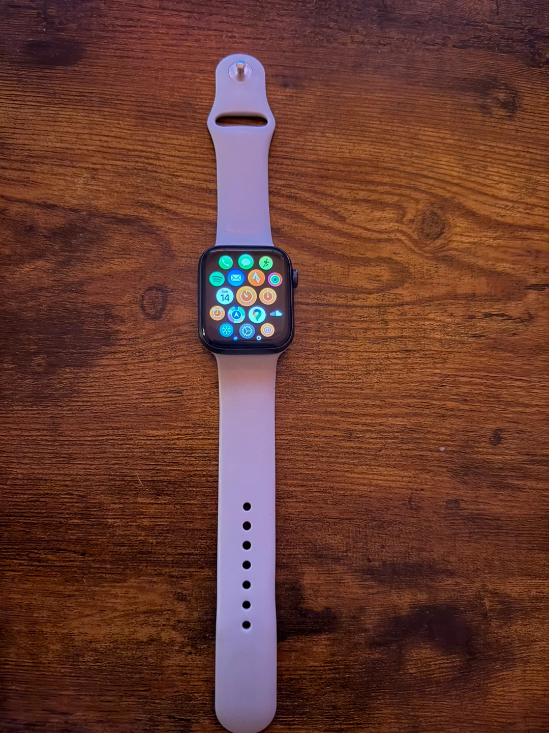 Apple Watch SE with Gray band