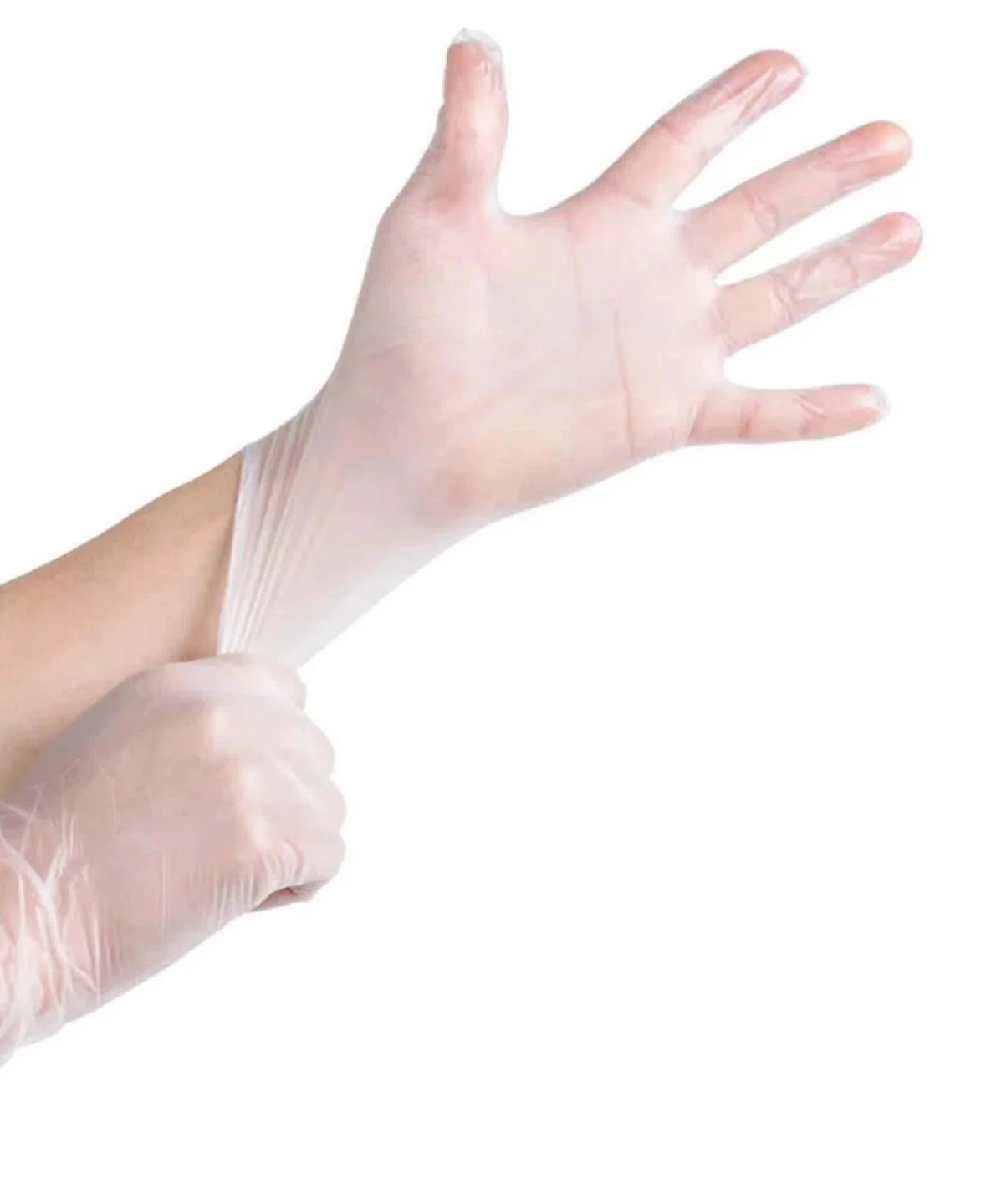 Vinyl gloves ( quality brand alliance ) - photo 2
