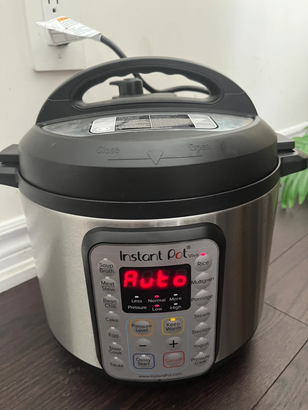 Instant Pot Viva Pressure Cooker