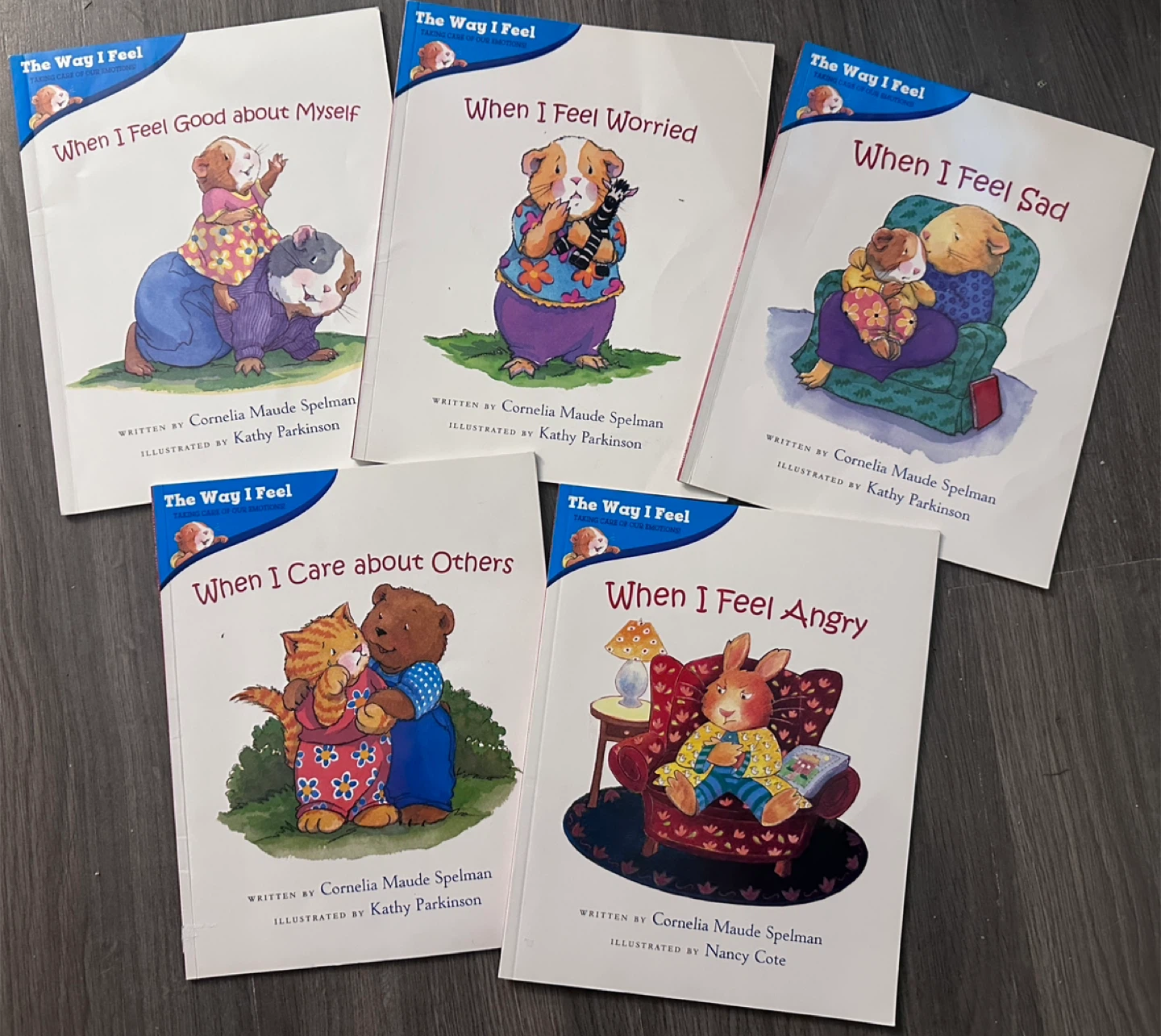 The Way I Feel Book Series by Cornelia Spelman