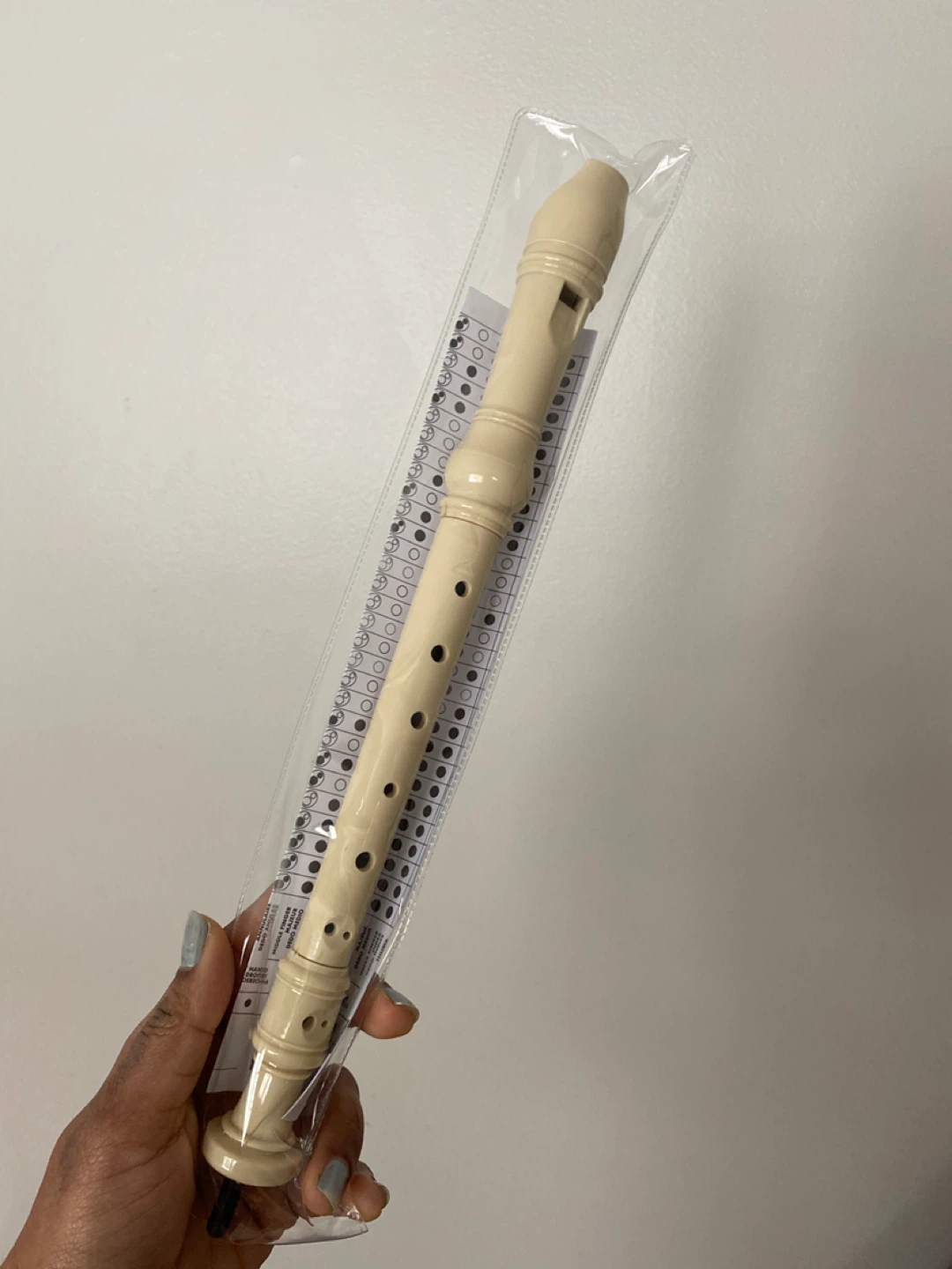 Flute - New in Package