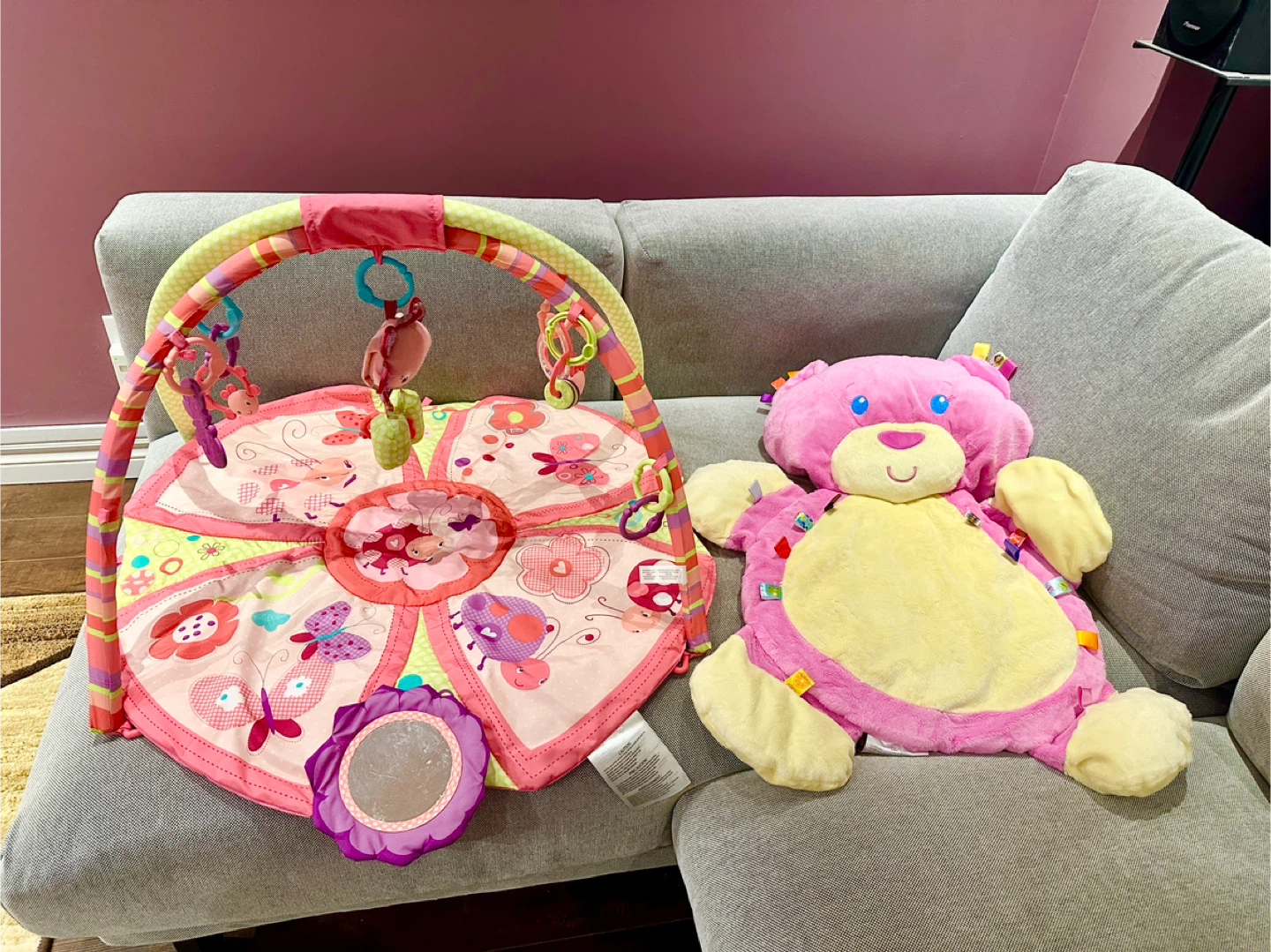 Baby Play Mat / Activity Gym Bundle