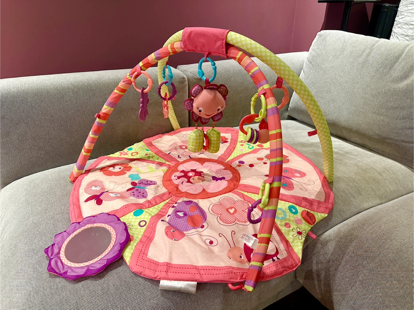 Baby Play Mat / Activity Gym Bundle - photo 2