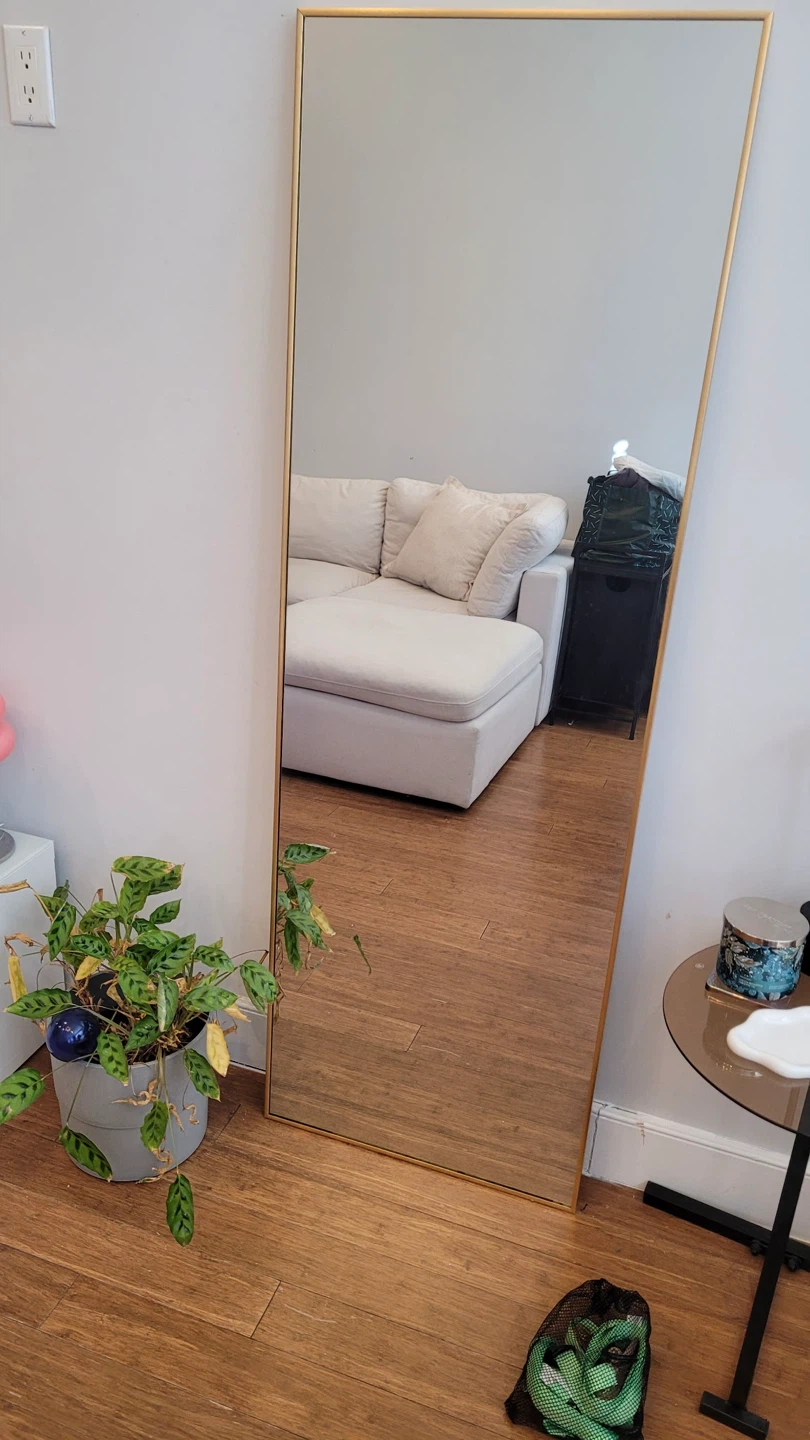 Gold Framed Full Length Mirror