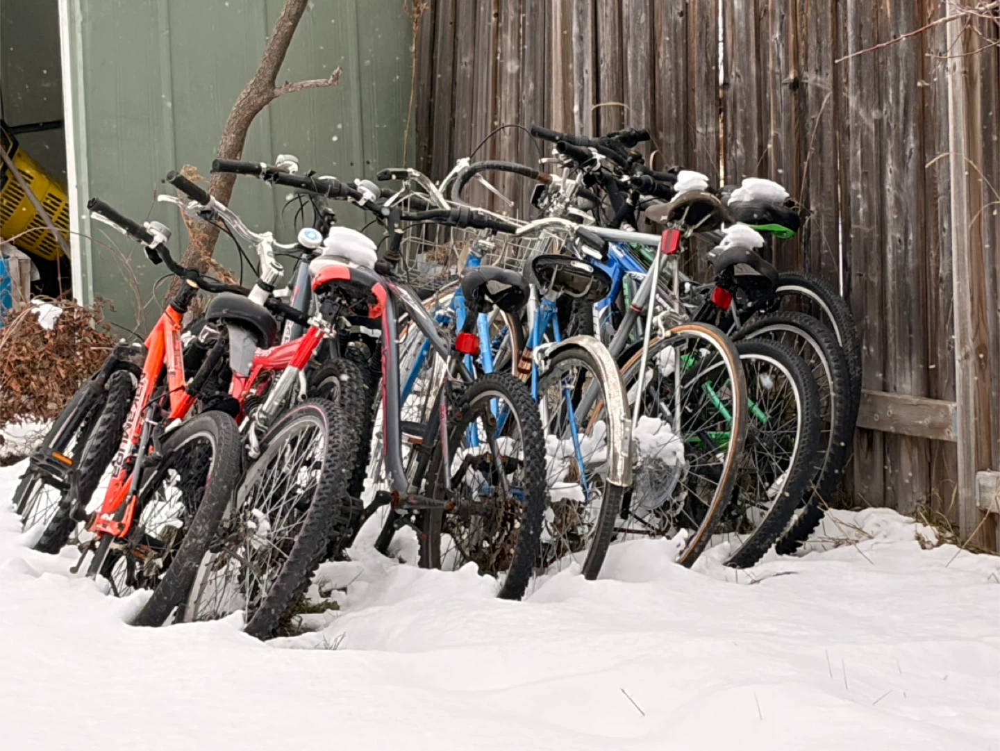 Bikes for sale