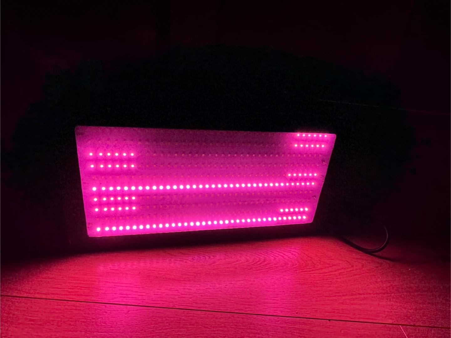 LED Grow Light 2000W - photo 5