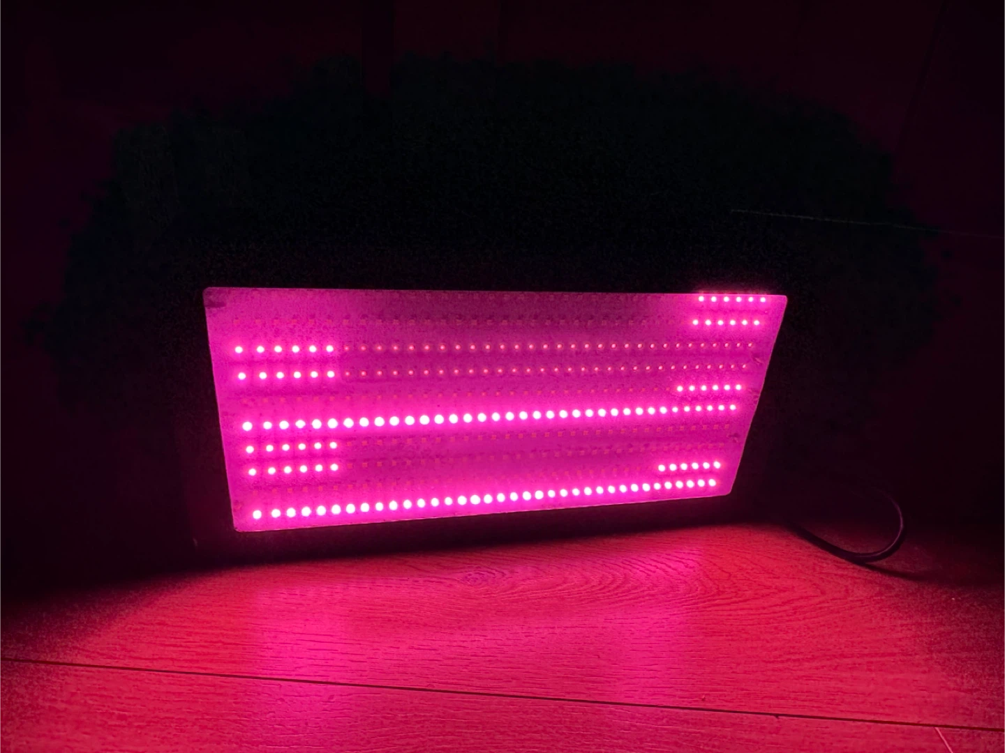 LED Grow Light 2000W - photo 4