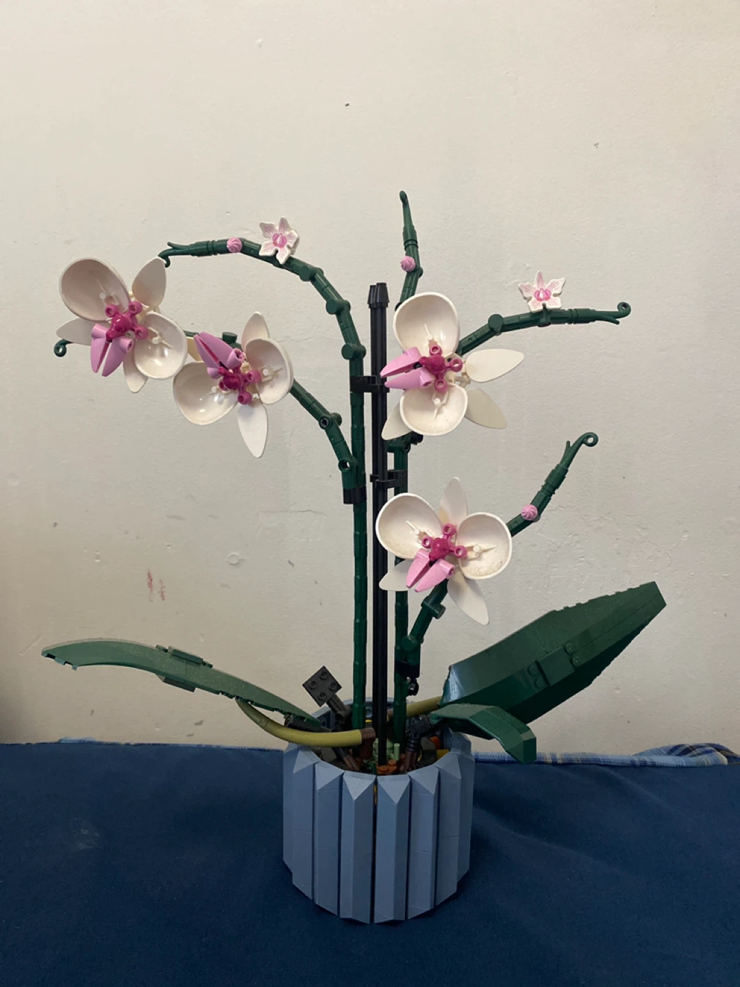 LEGO Orchid 10311 Botanical Collection