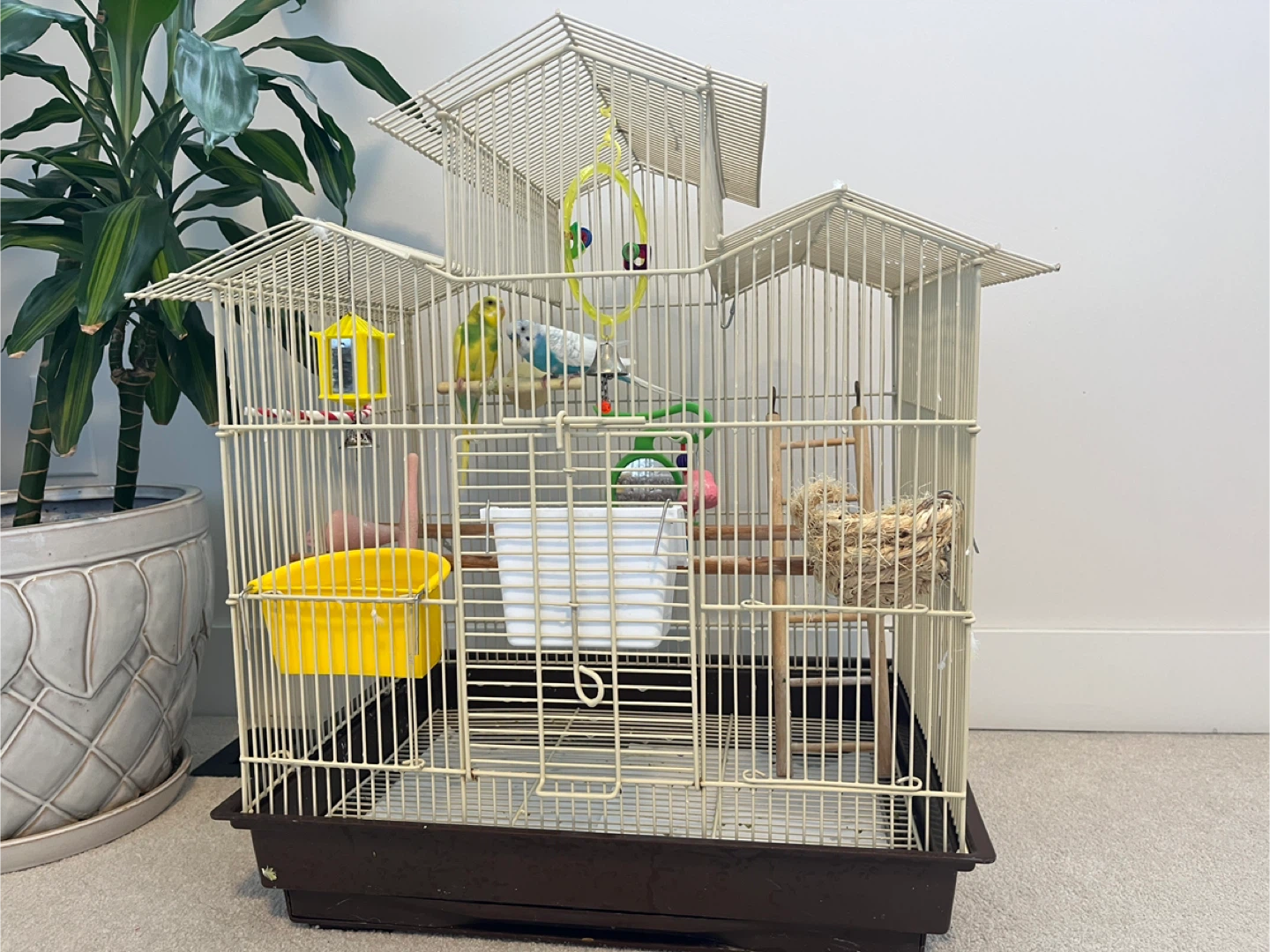Bird Cage with Accessories
