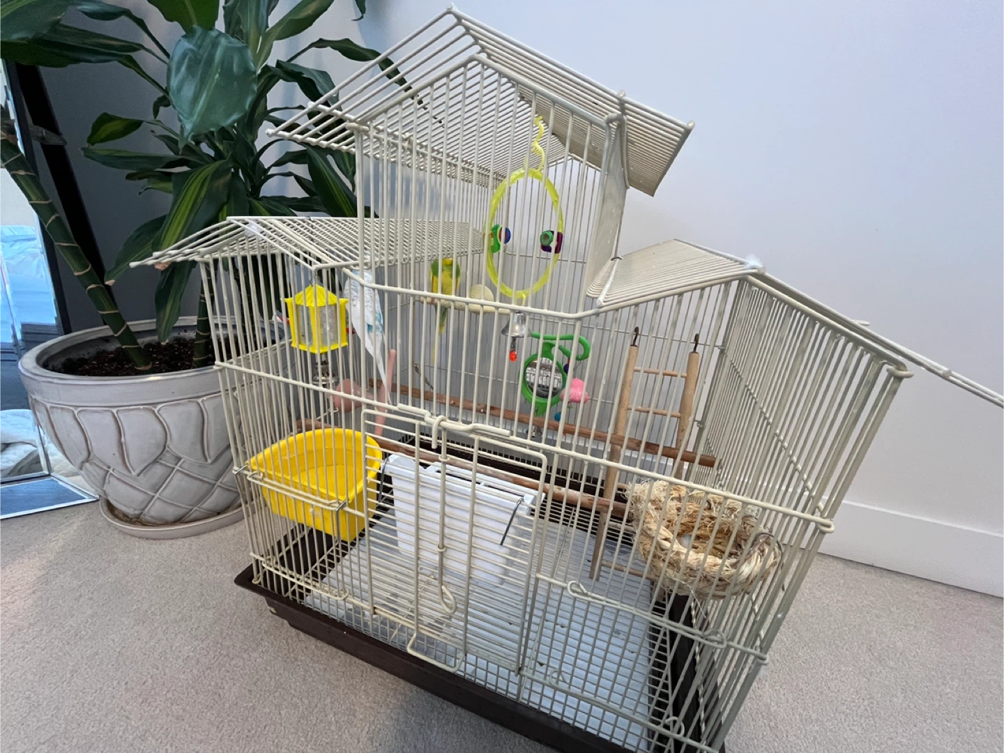 Bird Cage with Accessories - photo 3