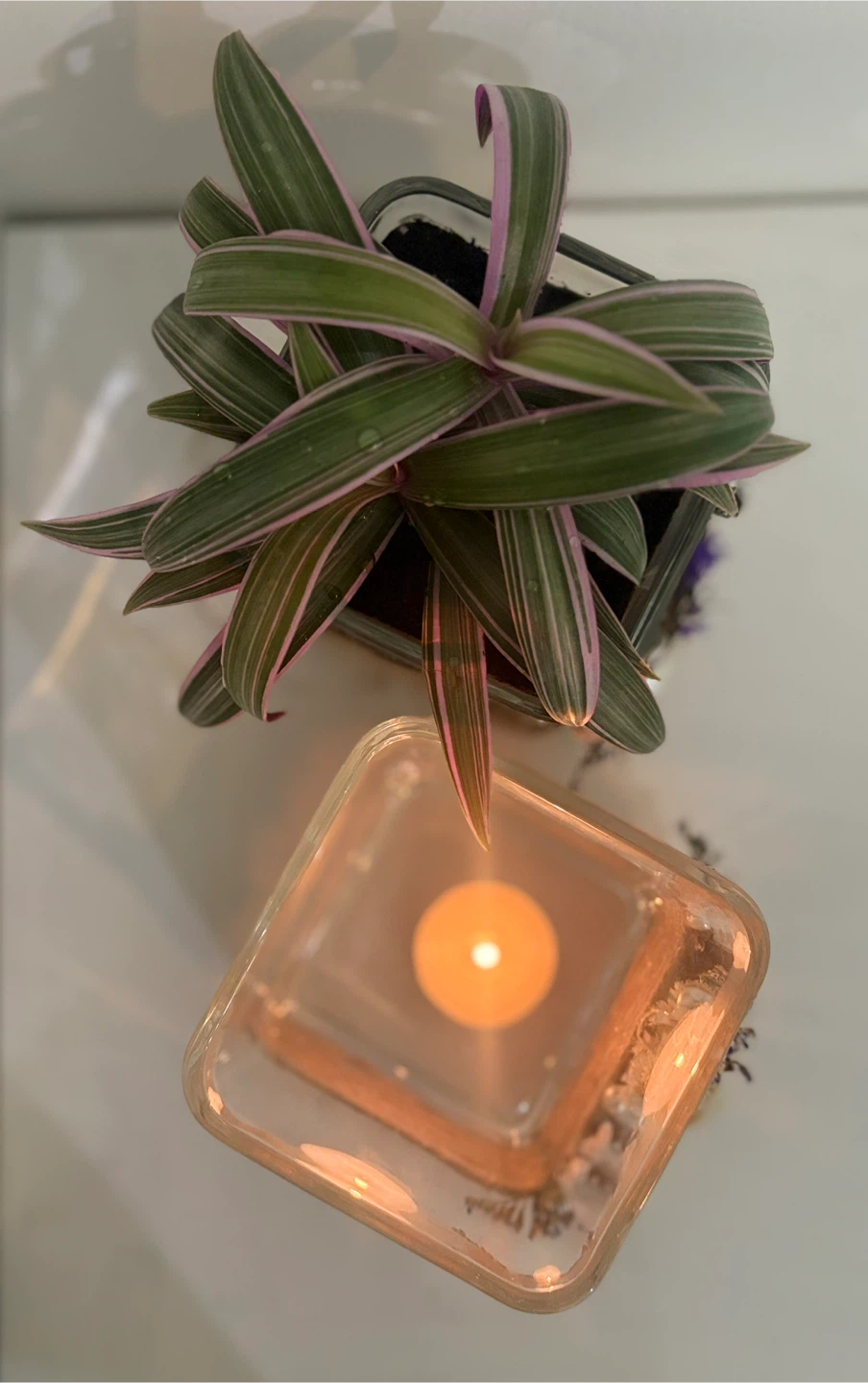 Decorative Glass Candle Holders / Planters - photo 4