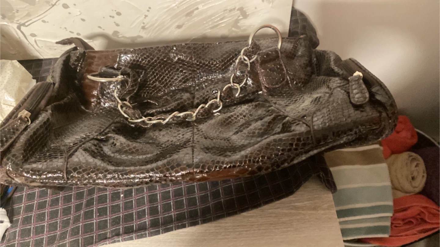 Assorted Women's Sandals & Handbags - photo 4