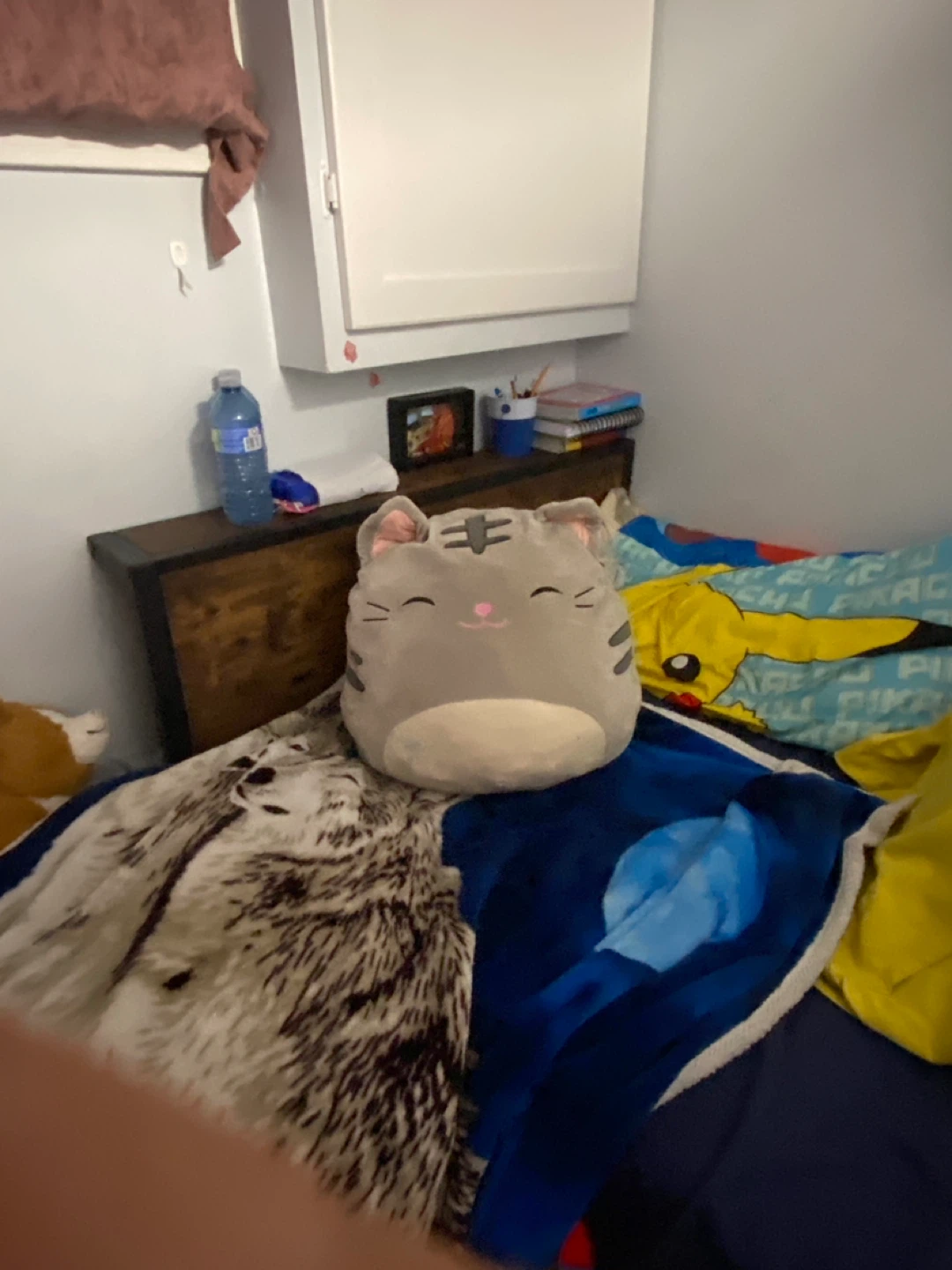 Squishmallow Cat Plush