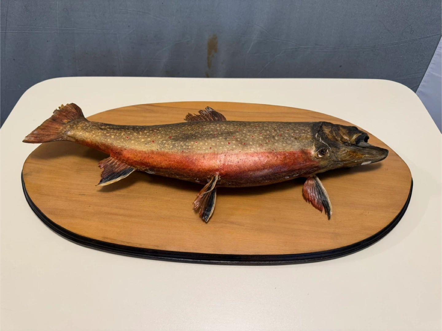 Mounted Fish Taxidermy - photo 3