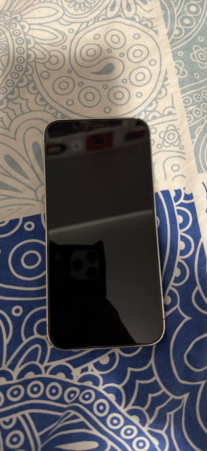 iPhone 12 Pro Max - Silver