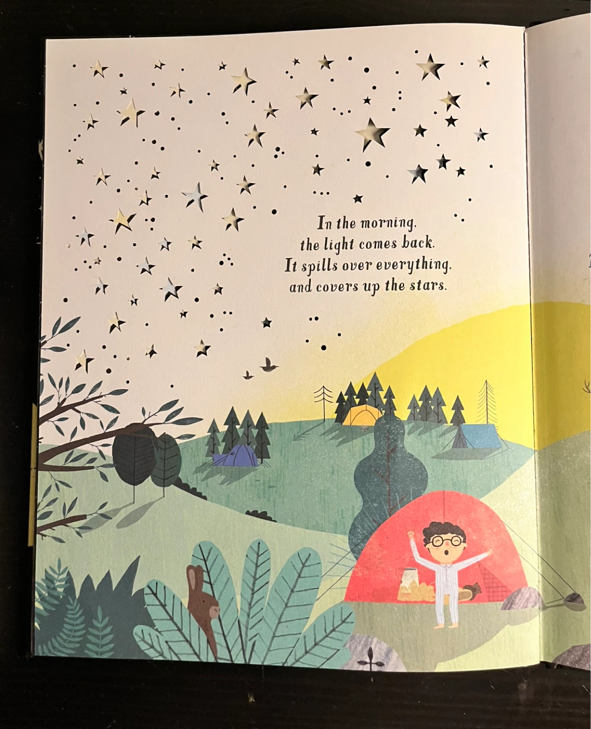 I'm NOT (very) Afraid of the Dark Book - photo 3