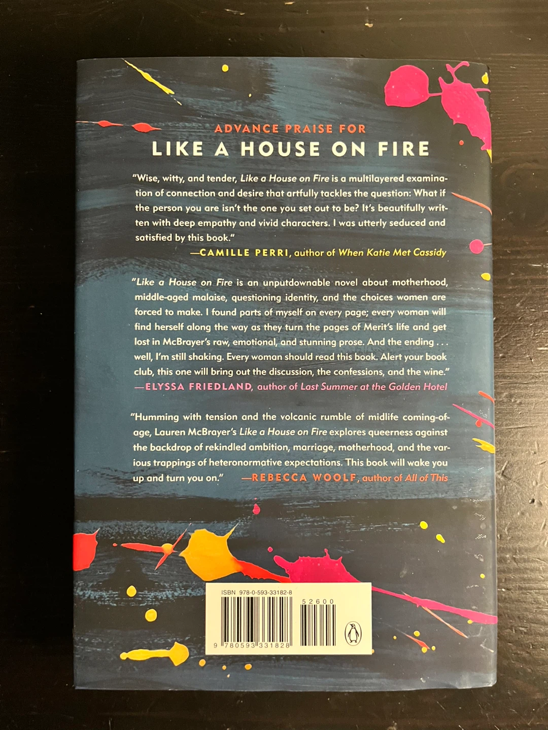 Like a House on Fire - Novel - photo 2