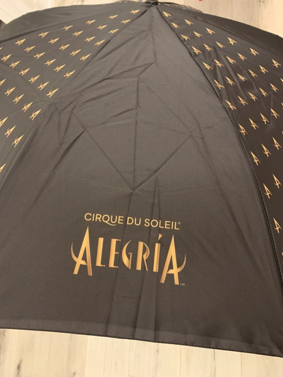 Cirque du Soleil Alegria Umbrella - Black & Gold
