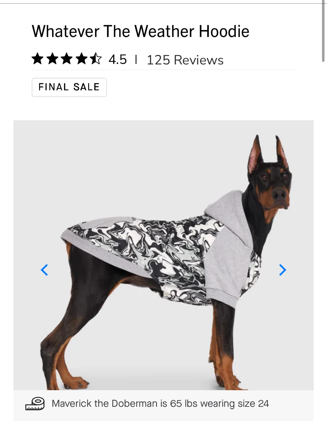 Canada Pooch Whatever The Weather Hoodie