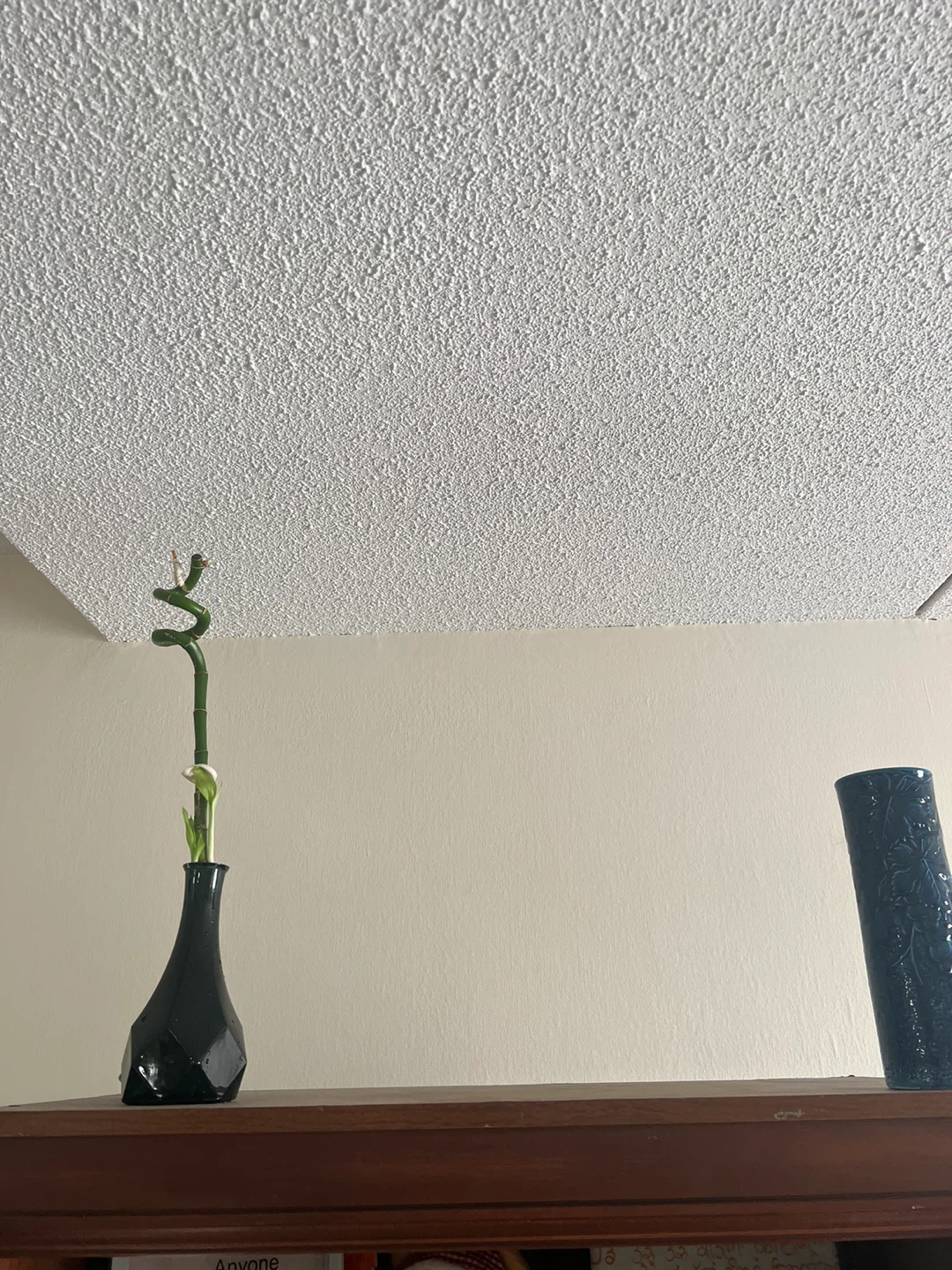 Lucky Bamboo Plant in Vase - photo 2