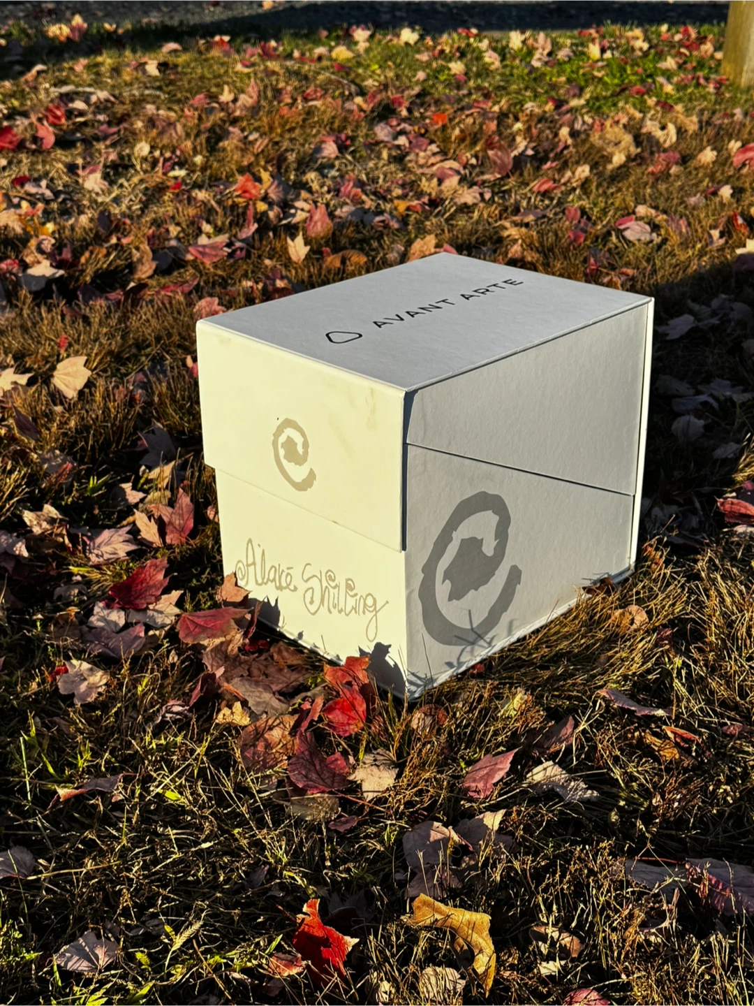 Avant Arte Alake Shilling Jolly Bear - photo 4