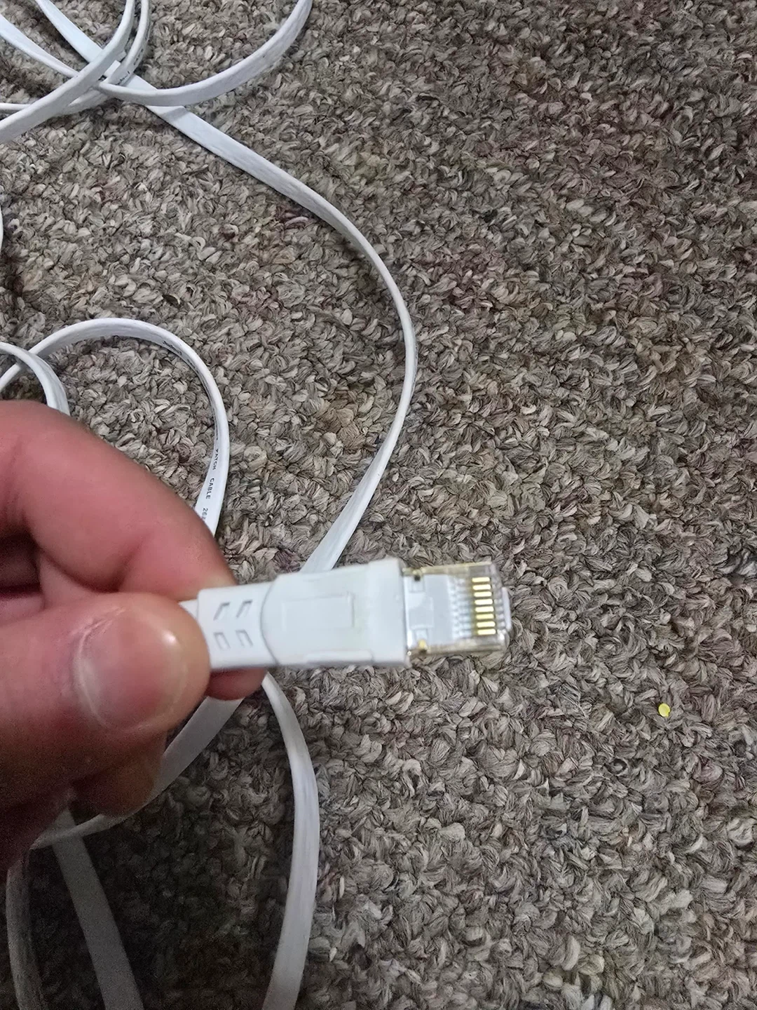 Jadaol CAT.8 Ethernet Patch Cable - photo 2