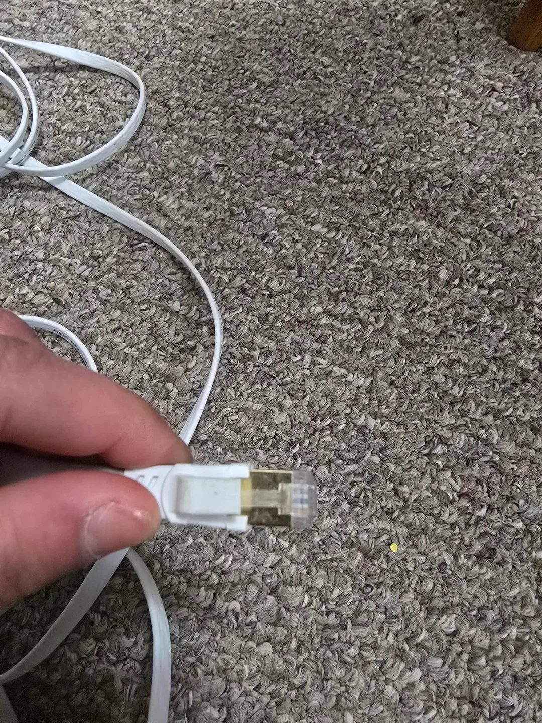 Jadaol CAT.8 Ethernet Patch Cable - photo 4