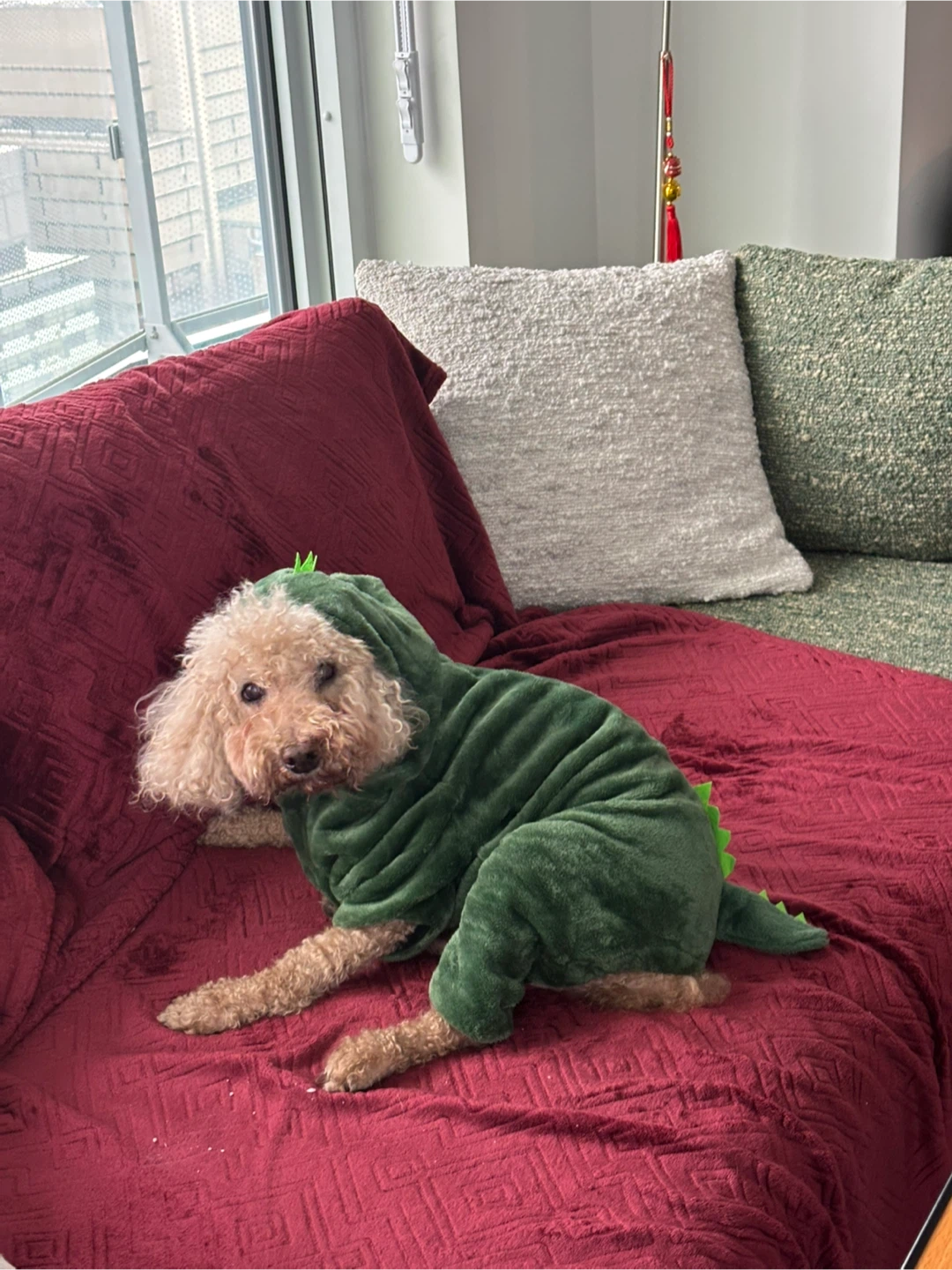 Dog Dinosaur Costume - Green 13-18lbs - photo 2