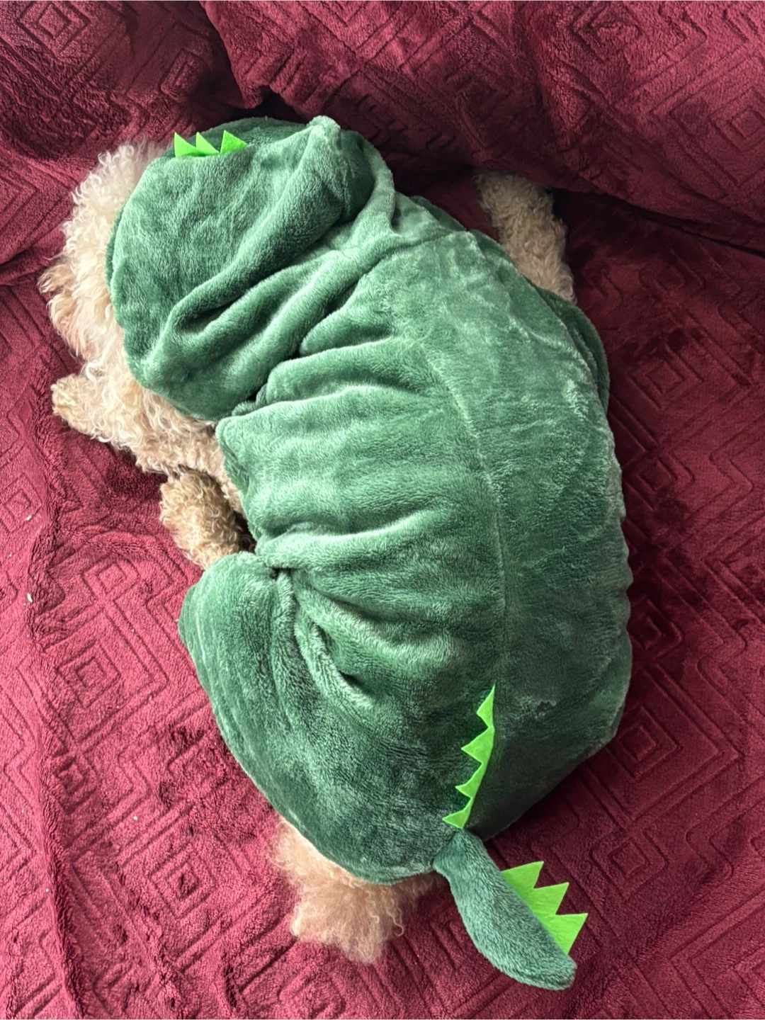 Dog Dinosaur Costume - Green 13-18lbs - photo 3