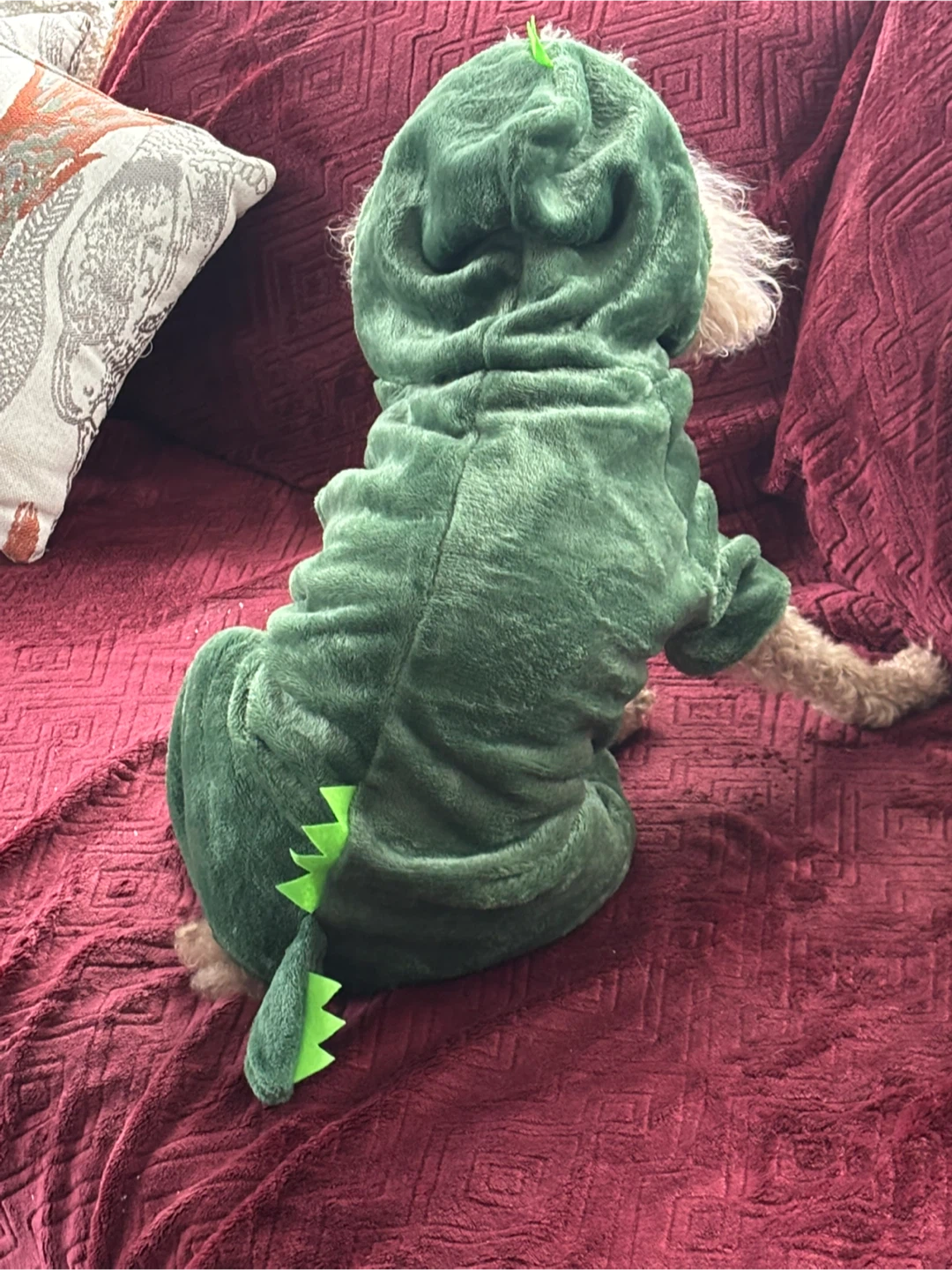 Dog Dinosaur Costume - Green 13-18lbs