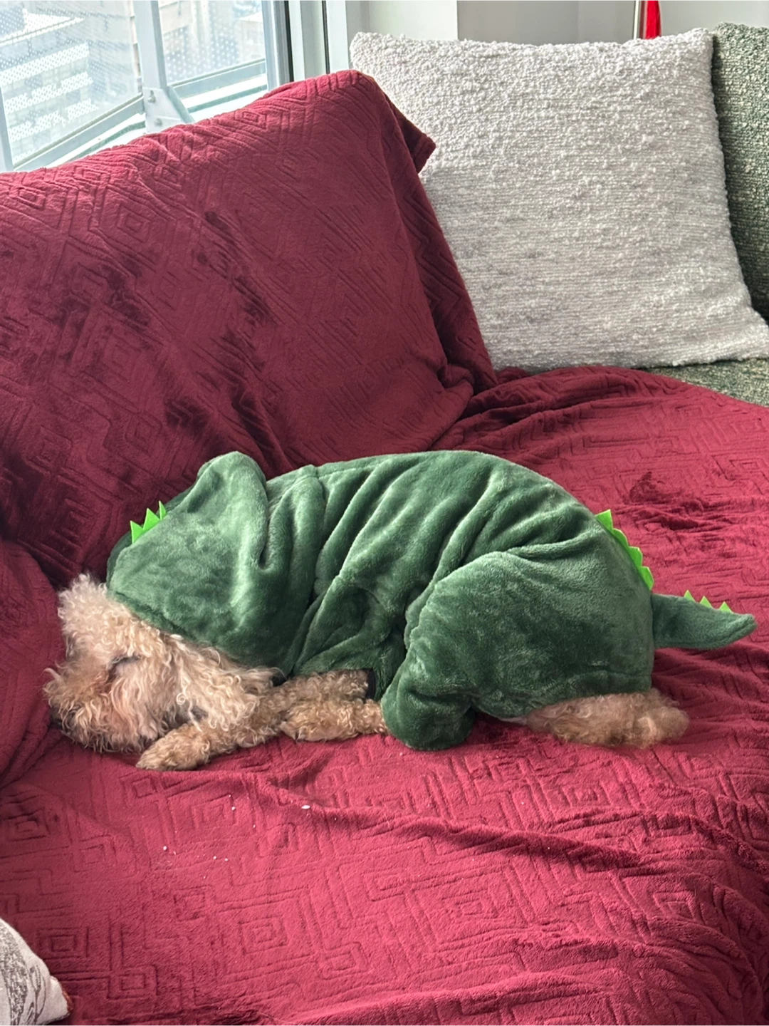 Dog Dinosaur Costume - Green 13-18lbs - photo 4