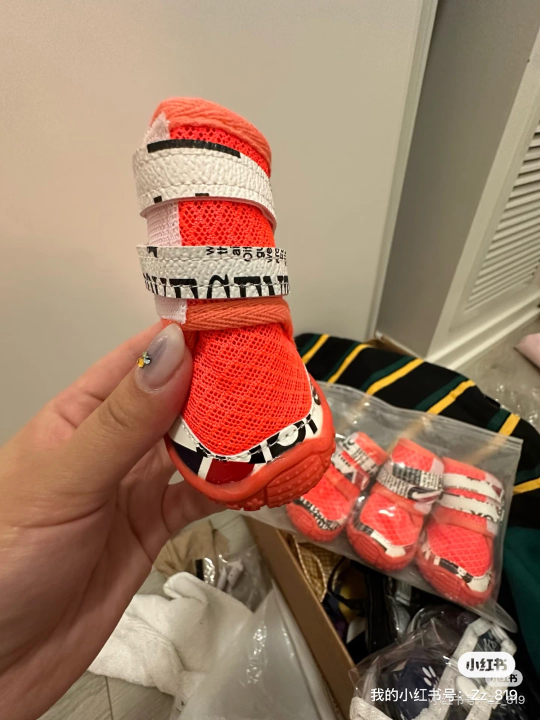 Dog Boots, Size 55, Assorted Colours