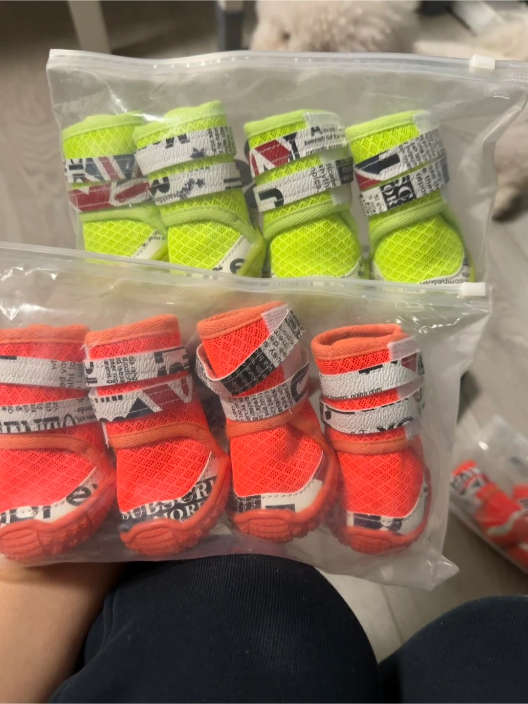 Dog Boots, Size 55, Assorted Colours - photo 2