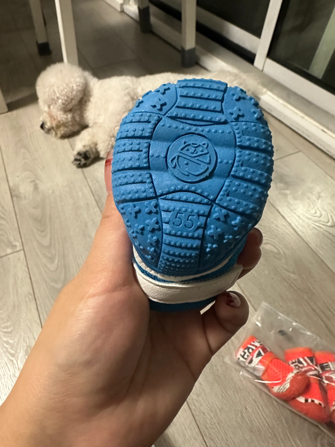 Dog Boots, Size 55, Assorted Colours - photo 3