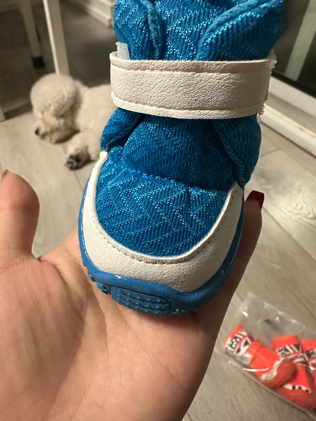 Dog Boots, Size 55, Assorted Colours - photo 4