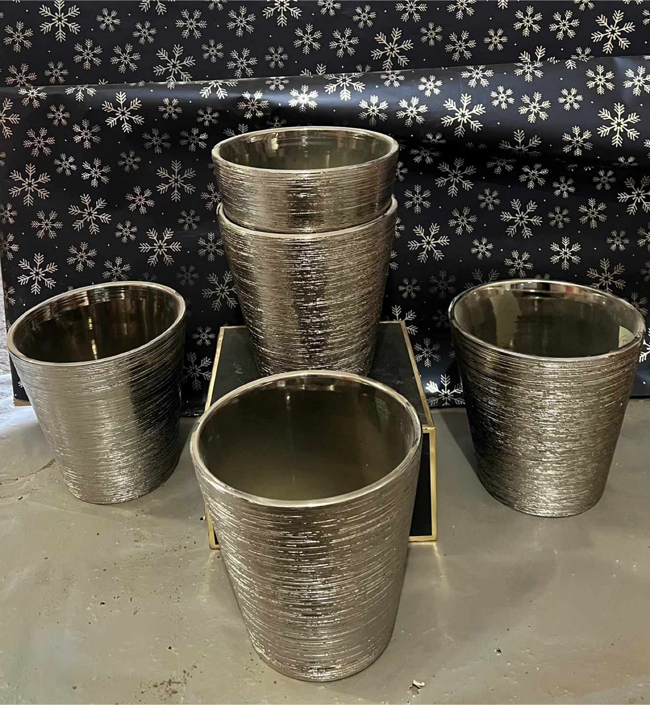 Set of 5 Silver Flower Pots
