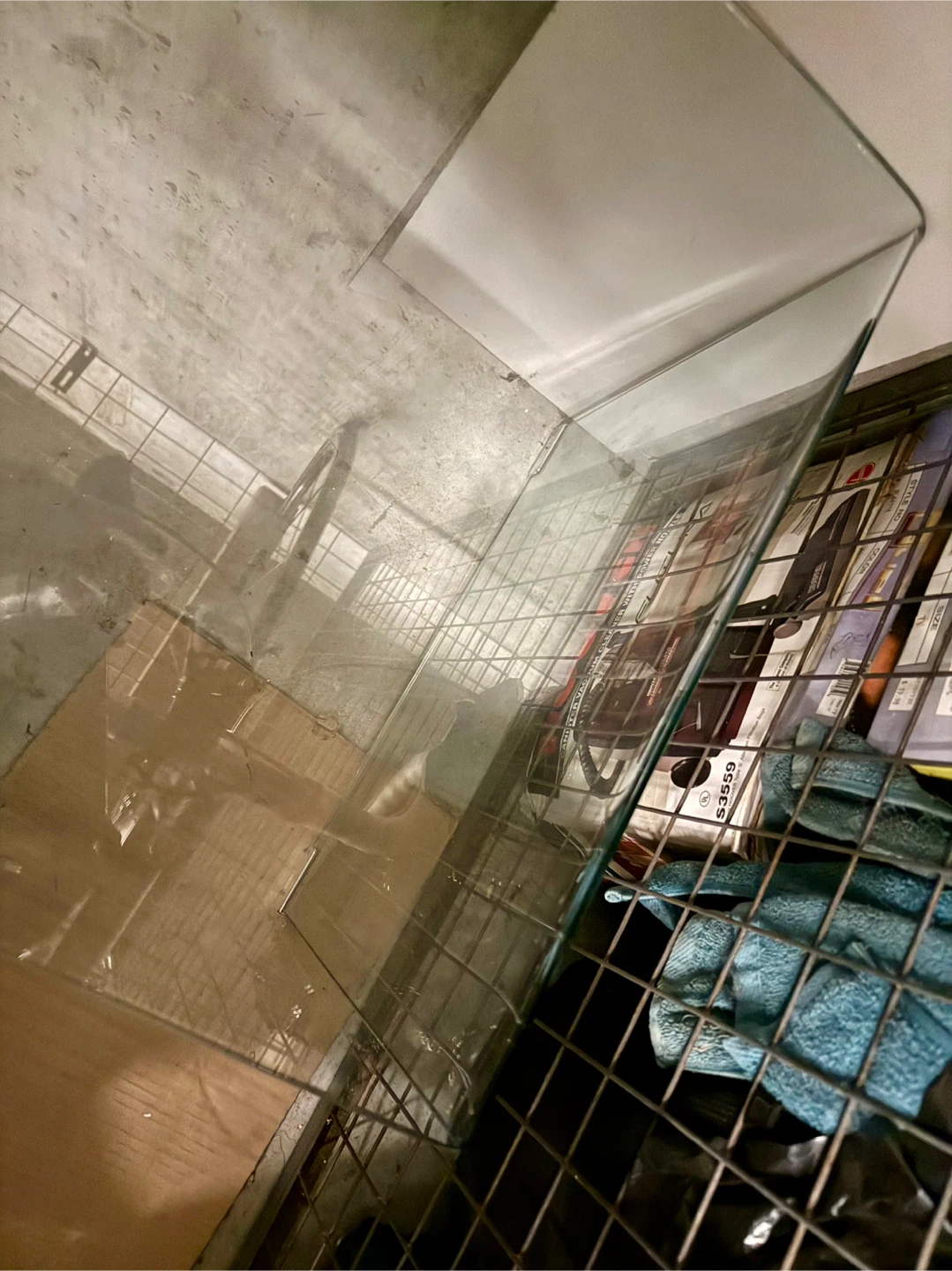 Glass Coffee Table