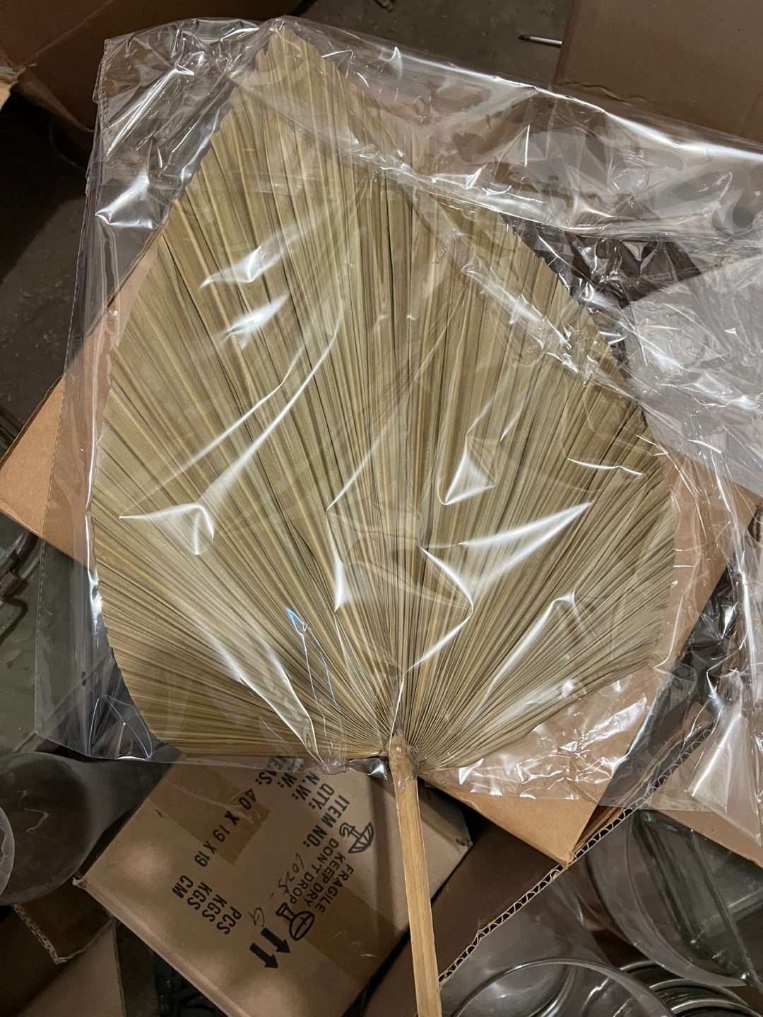 Case of approx 50-100 New Dried Palm Leaf Fan - photo 2