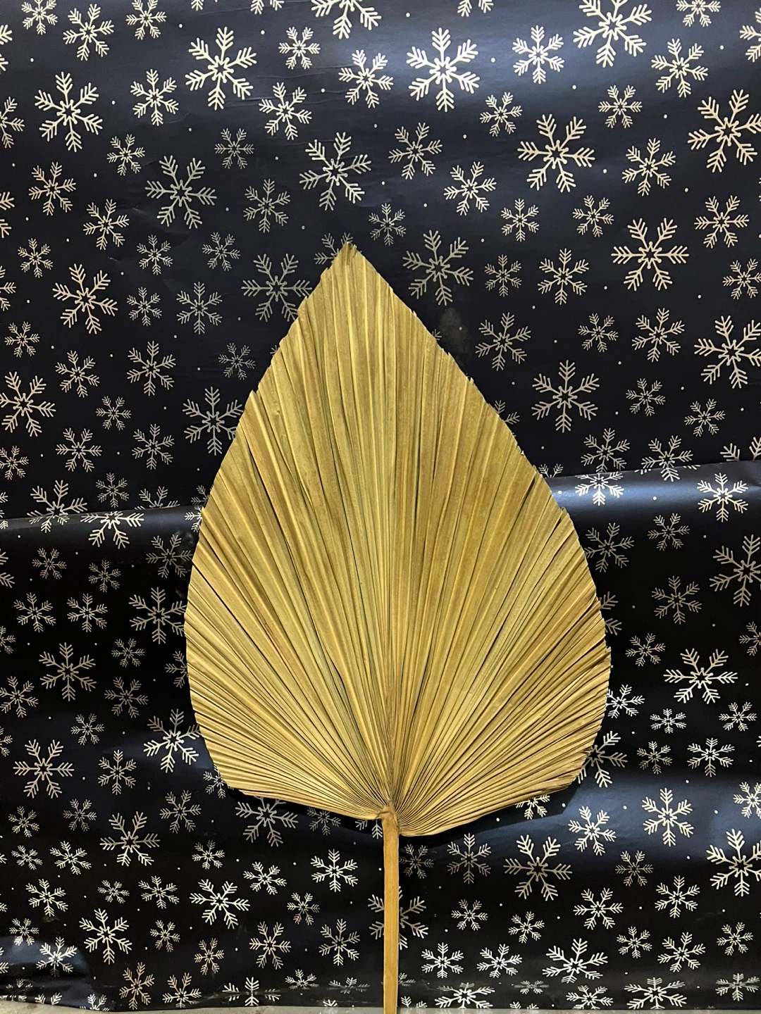Case of approx 50-100 New Dried Palm Leaf Fan