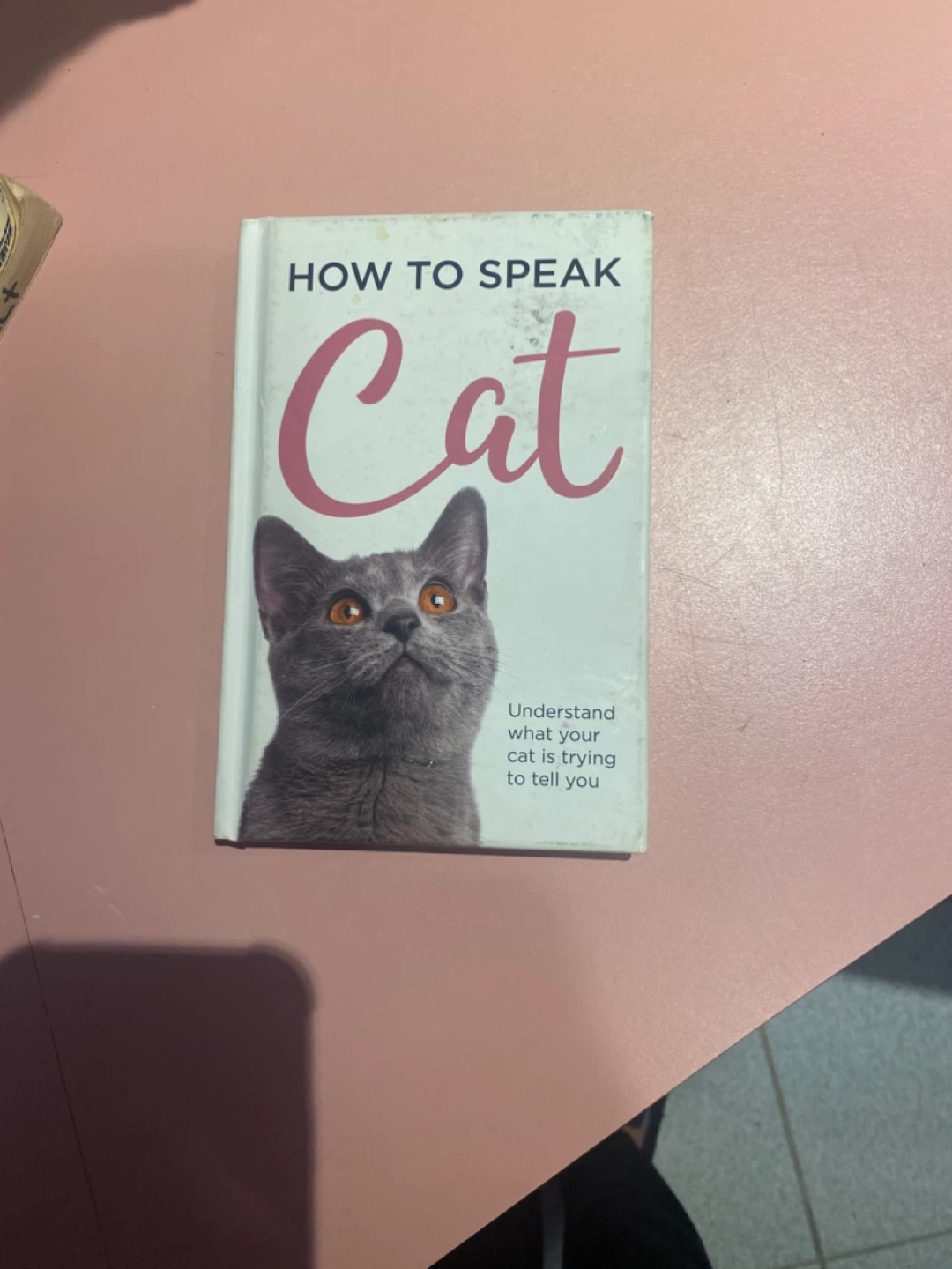 How to Speak Cat Book