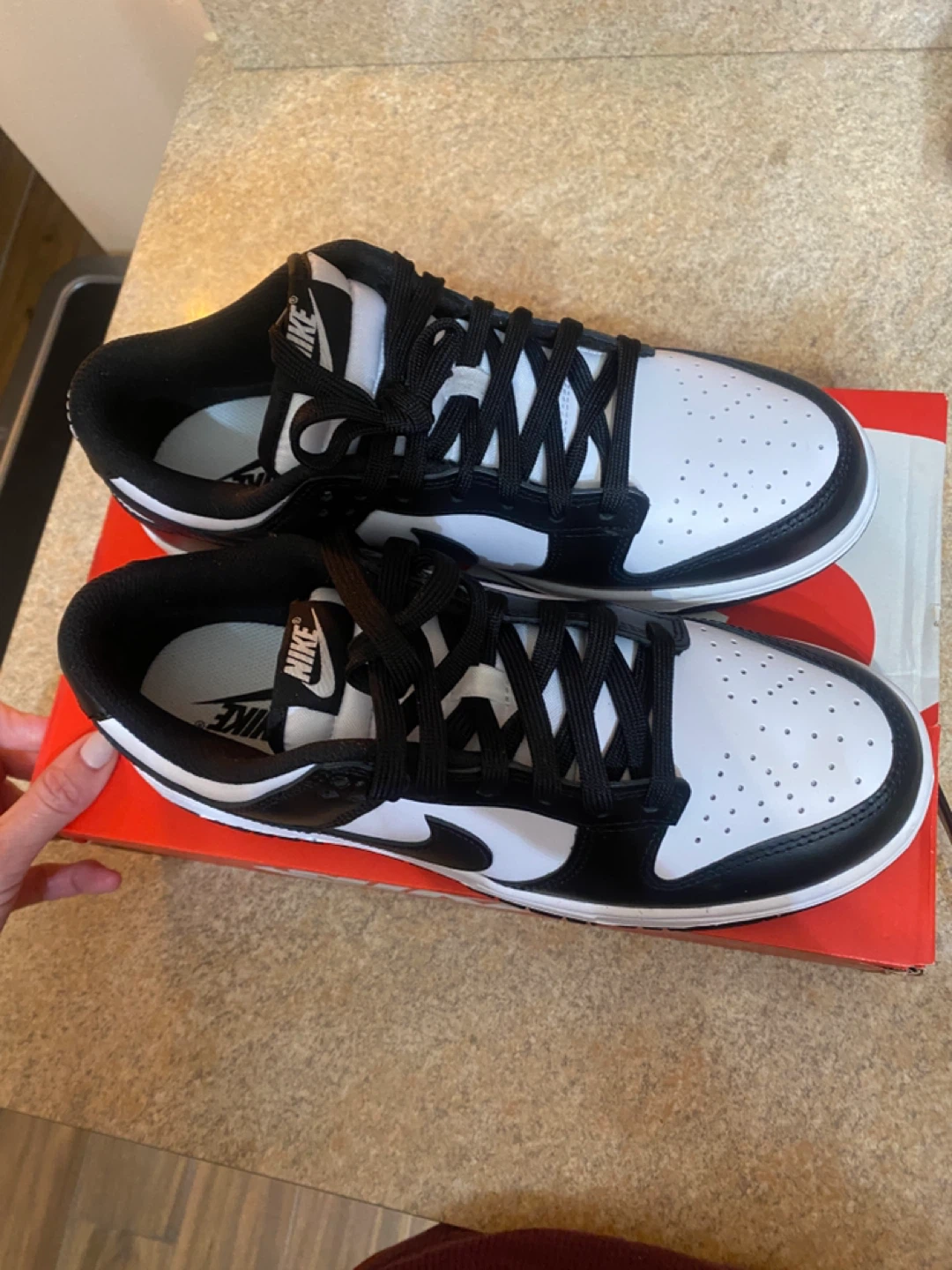 Brand new Nike dunk low