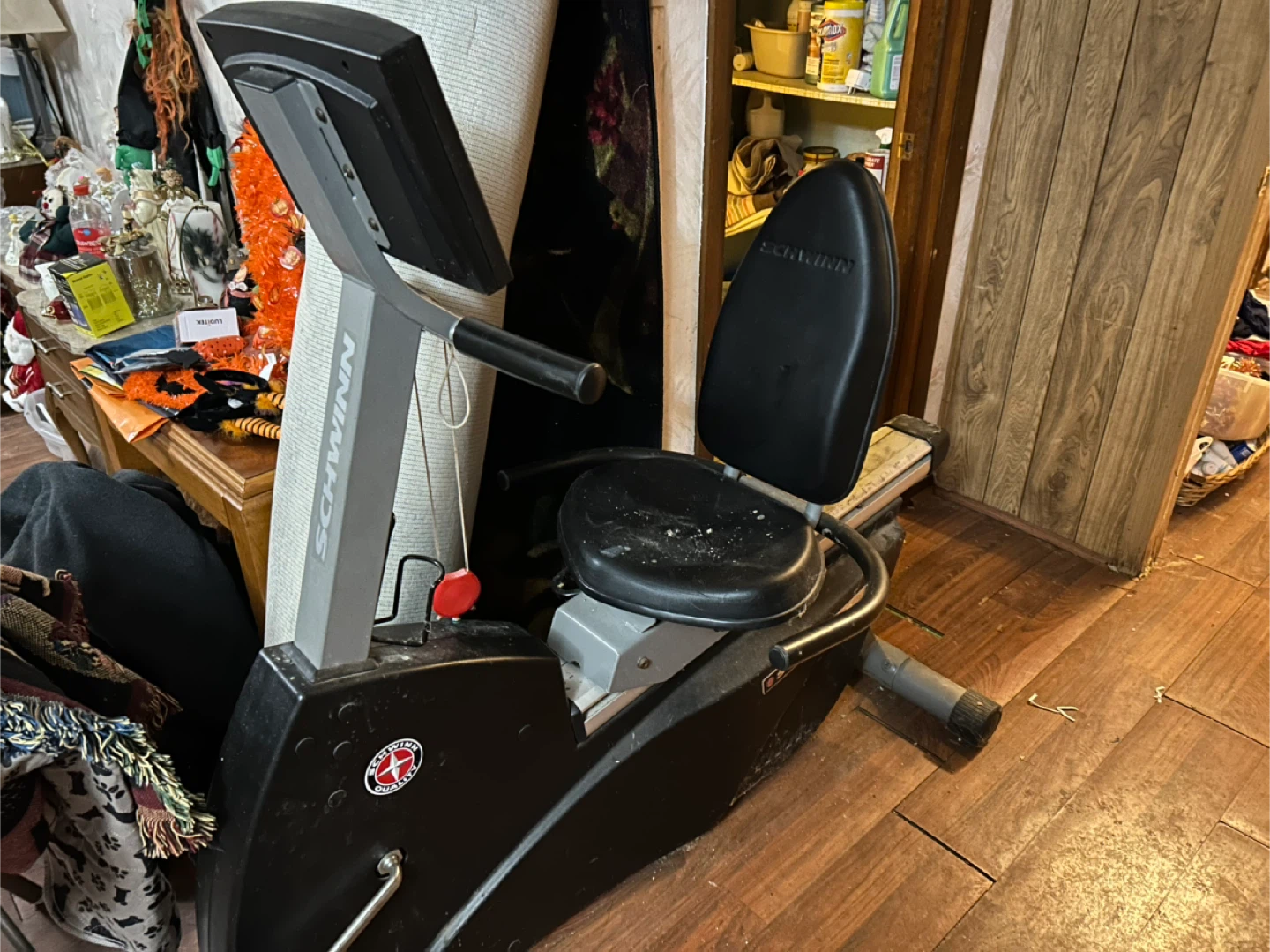 Schwinn Recumbent Exercise Bike