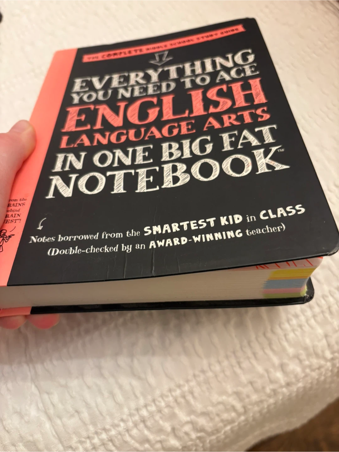 Everything You Need to Ace English Big Fat Notebook - photo 3