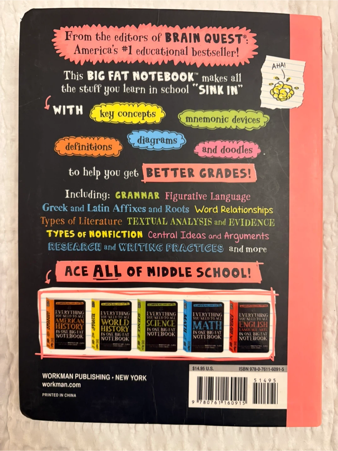 Everything You Need to Ace English Big Fat Notebook - photo 2