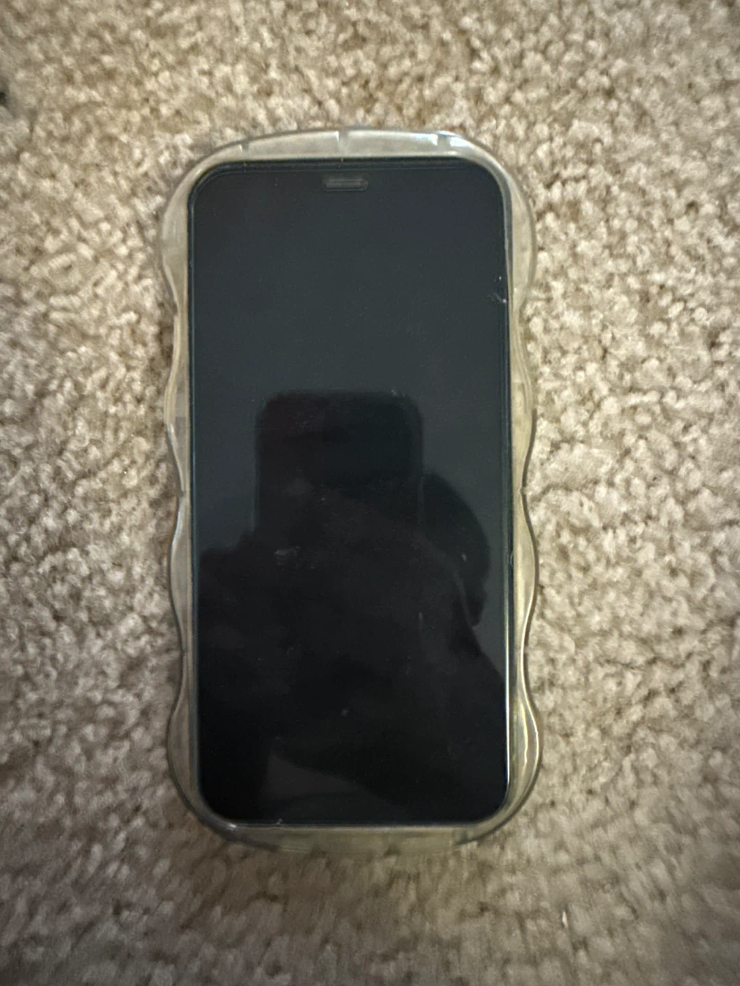 iPhone 12 with Cute StellaLou Case - photo 3