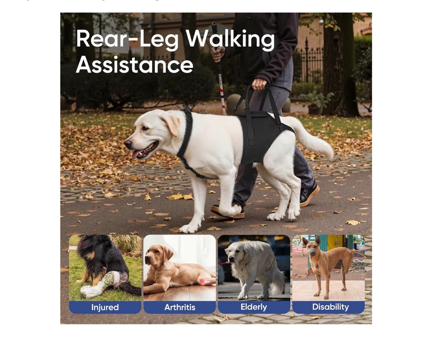 Brand New Supet Dog Sling for Large Dogs Hind Leg Support - photo 5