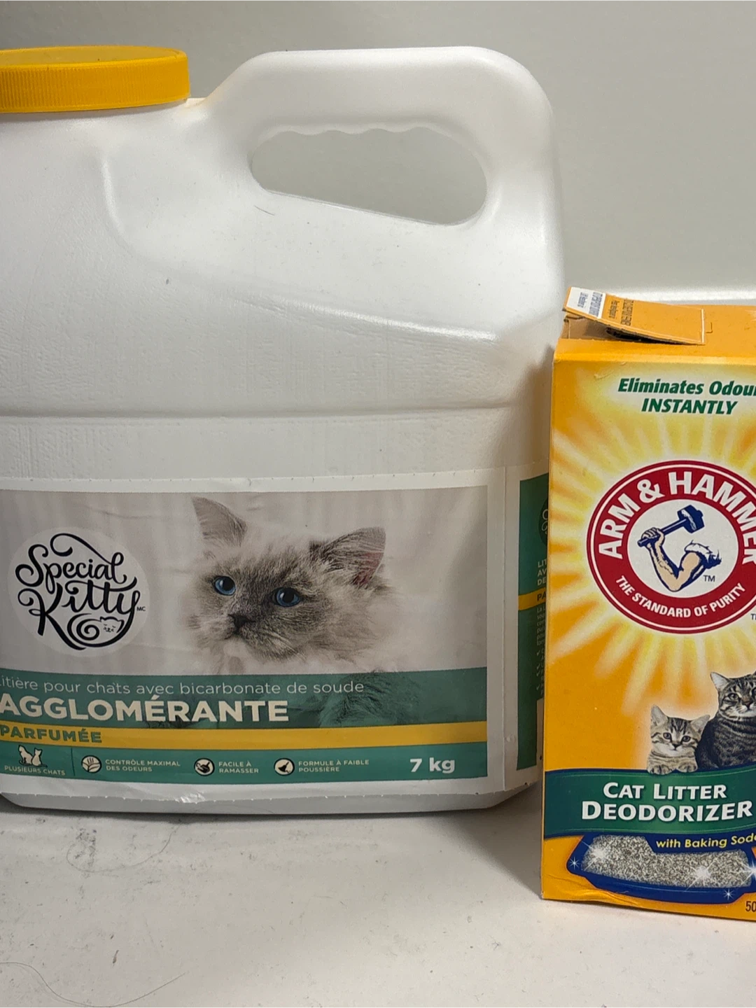 Special Kitty & Arm & Hammer Cat Litter