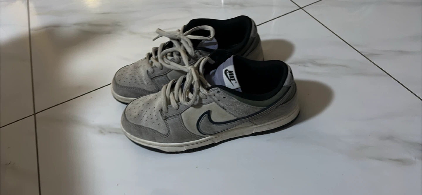Nike SB Dunk Low Grey Shoes