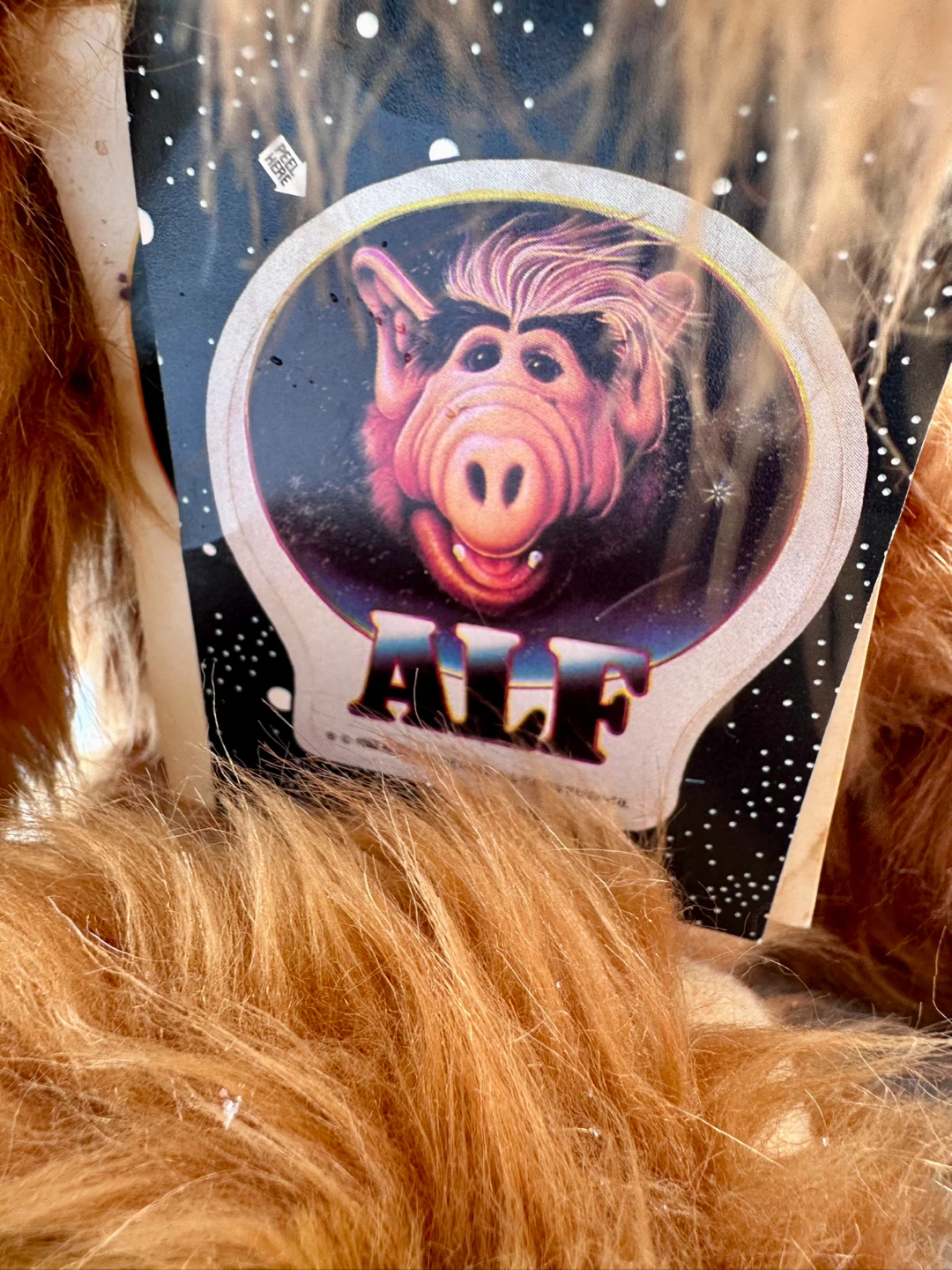 ALF Collectible Plush Toy with Complete Series DVD - photo 3